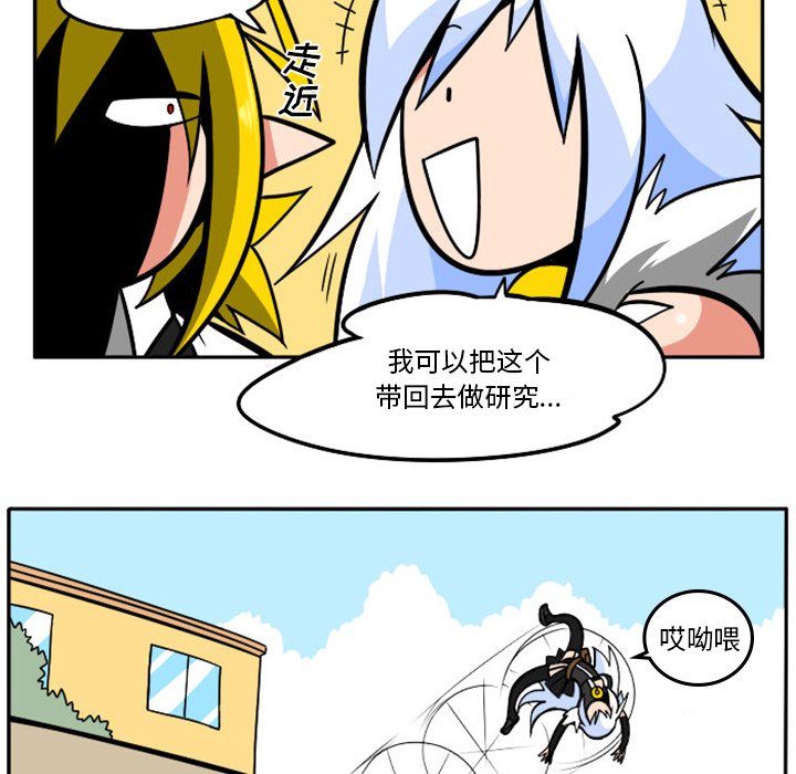 第 51 页