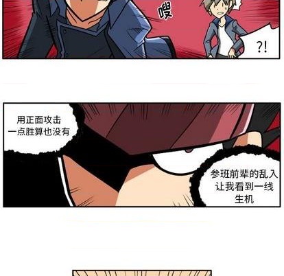 第 213 页