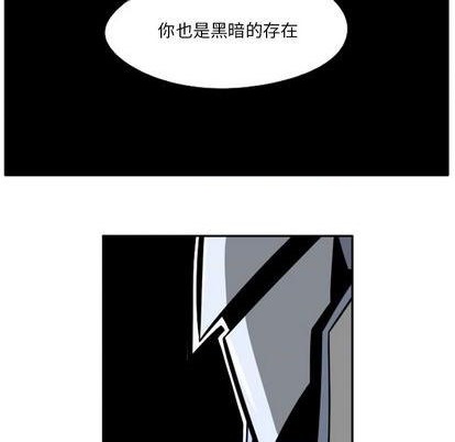 第 221 页
