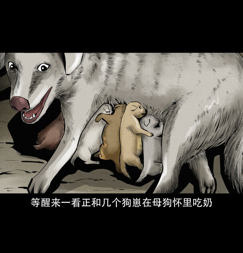 第 47 页
