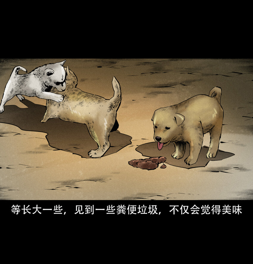 第 48 页