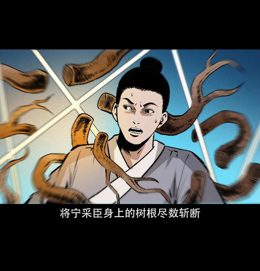 第 64 页