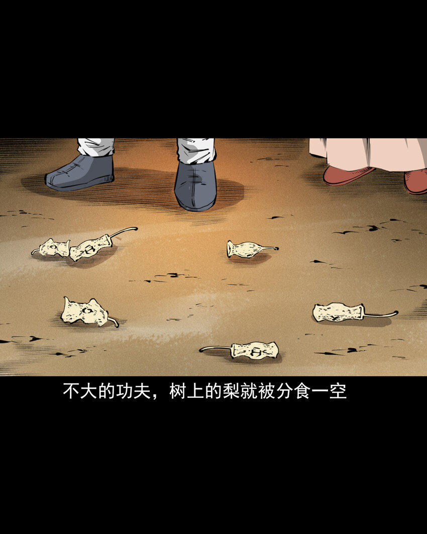 第 35 页