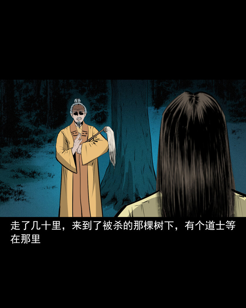 第 41 页