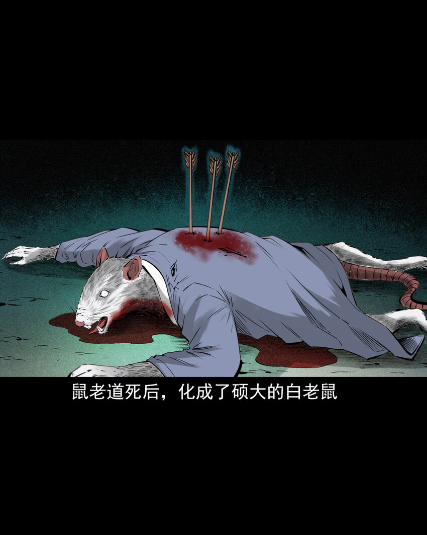 第 43 页
