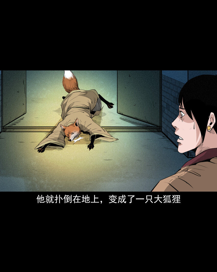 第 41 页