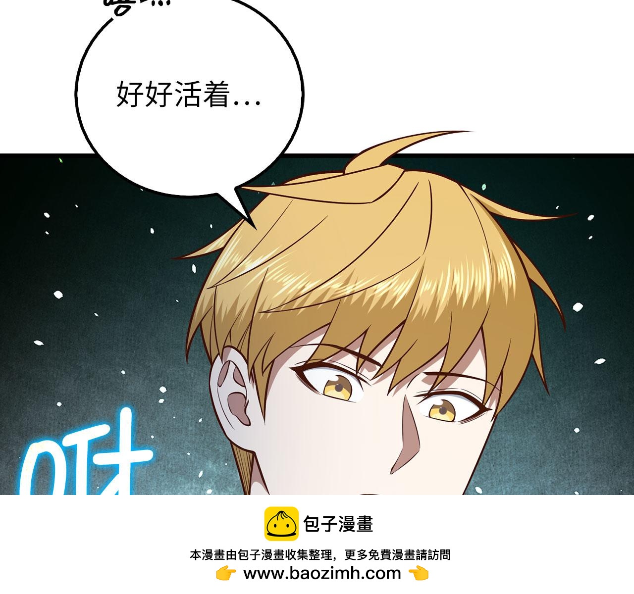 第 100 页