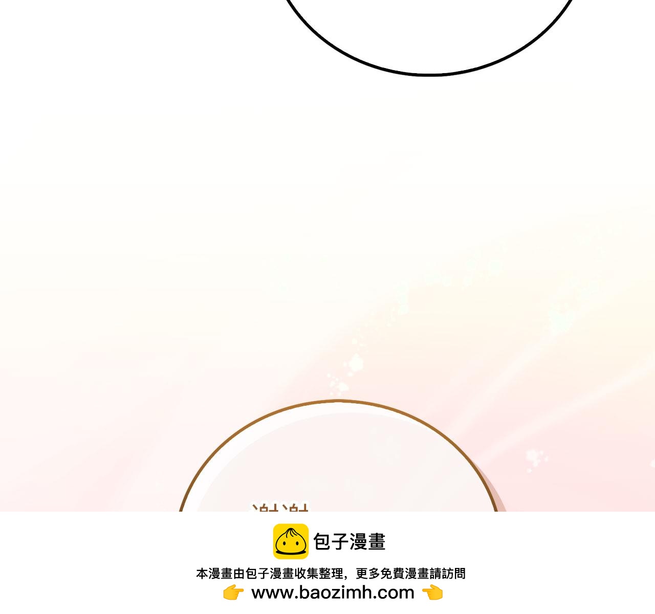 第 100 页