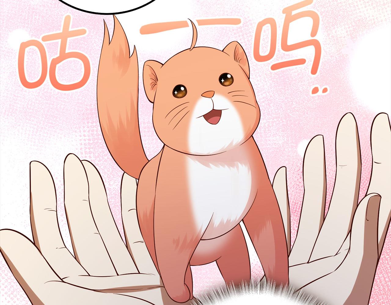第 113 页