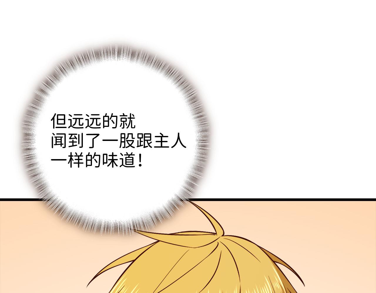 第 115 页