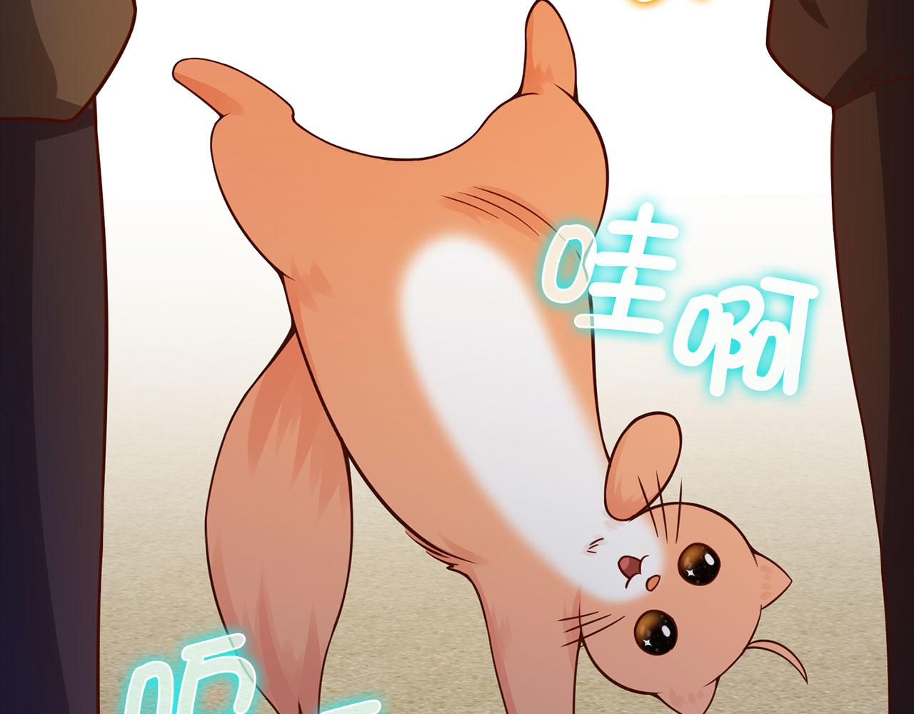 第 225 页