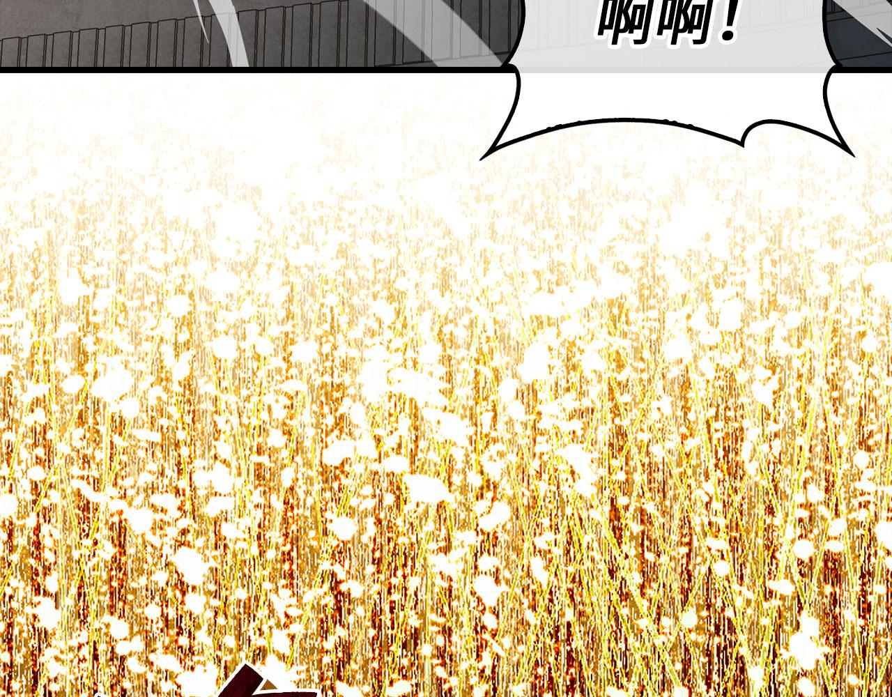 第 142 页