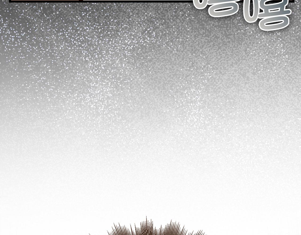 第 215 页