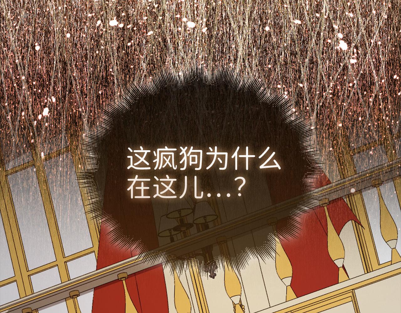 第 228 页