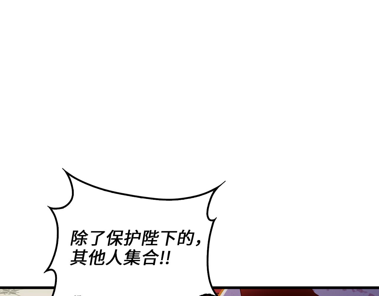 第 205 页