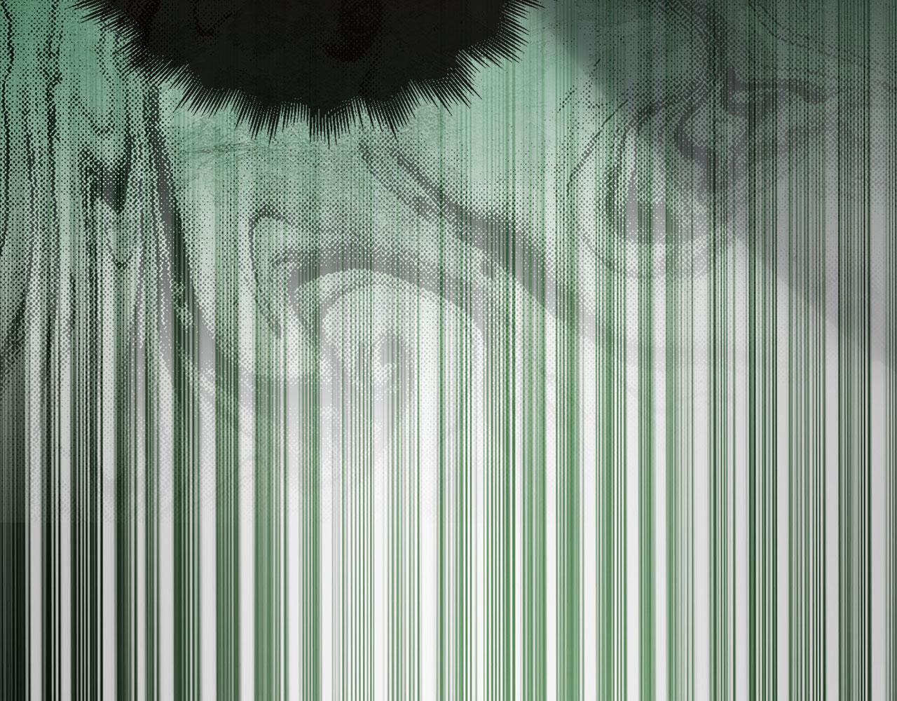 第 211 页