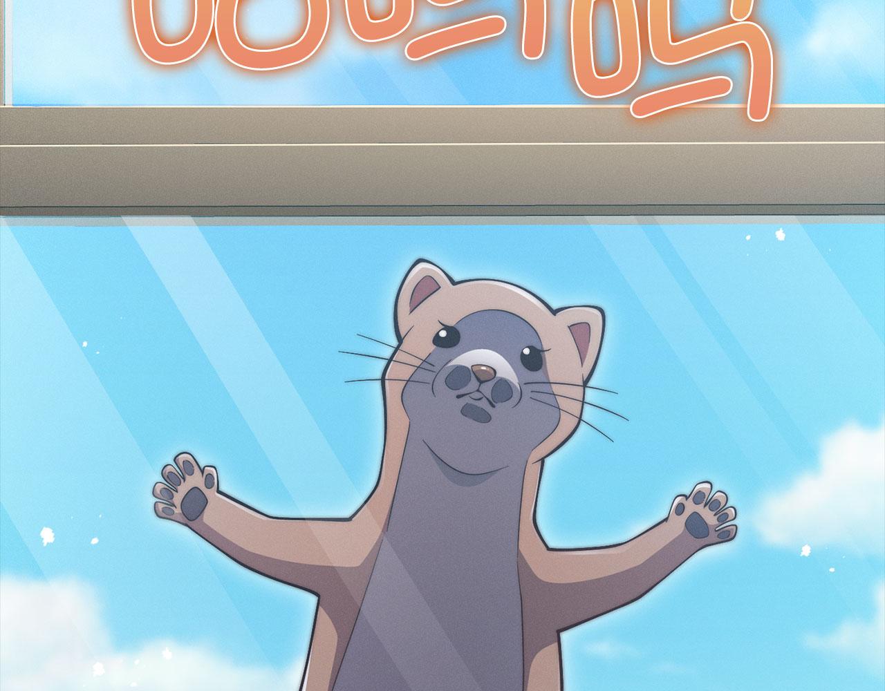 第 97 页