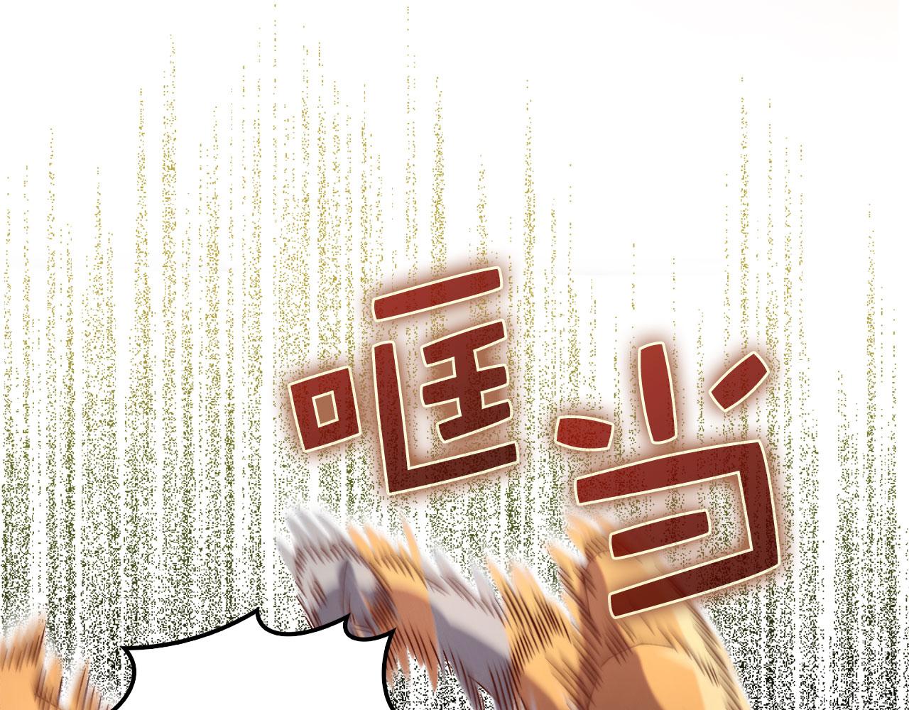 第 213 页