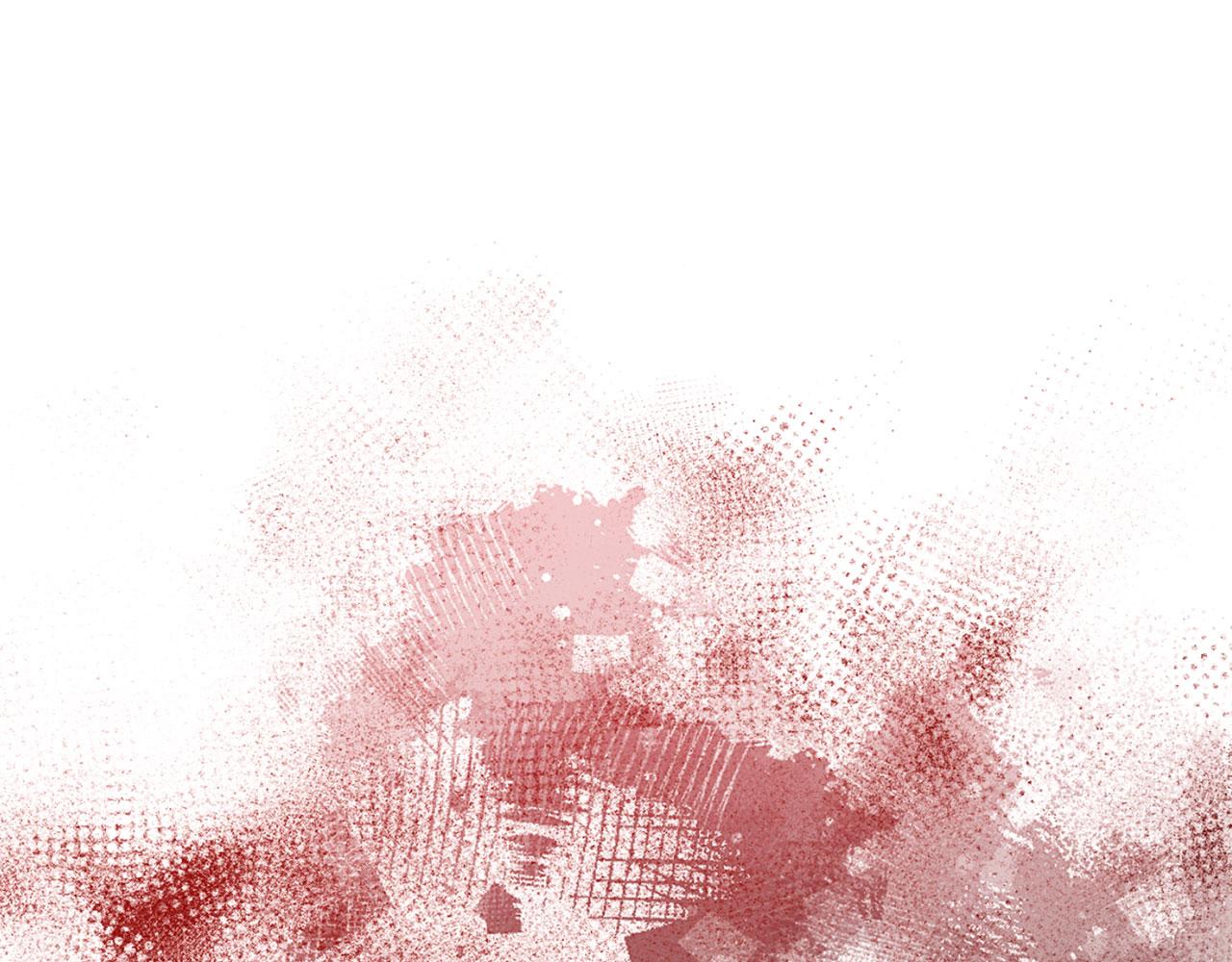 第 217 页