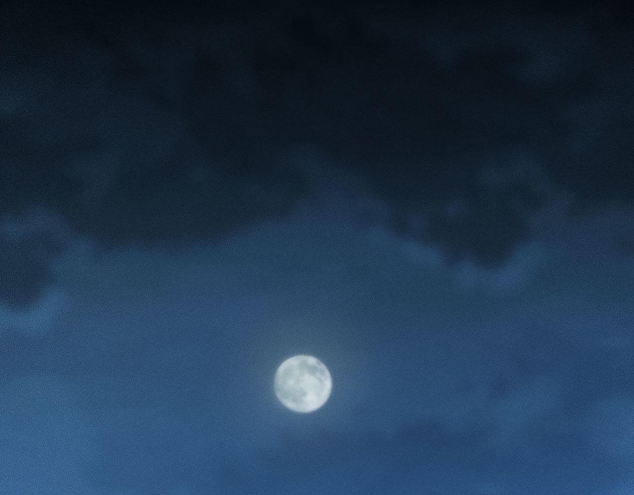 第 97 页