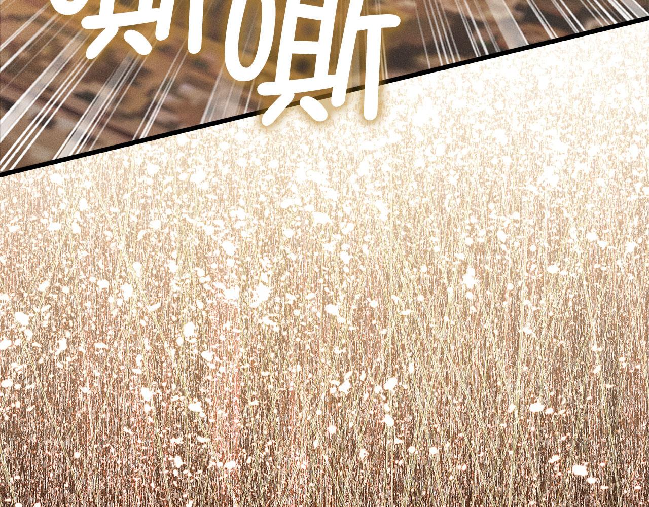 第 205 页