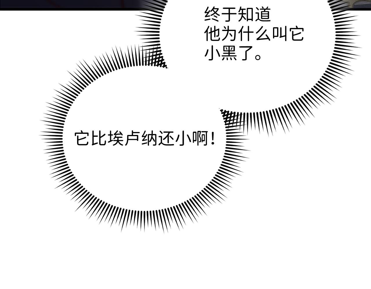 第 137 页