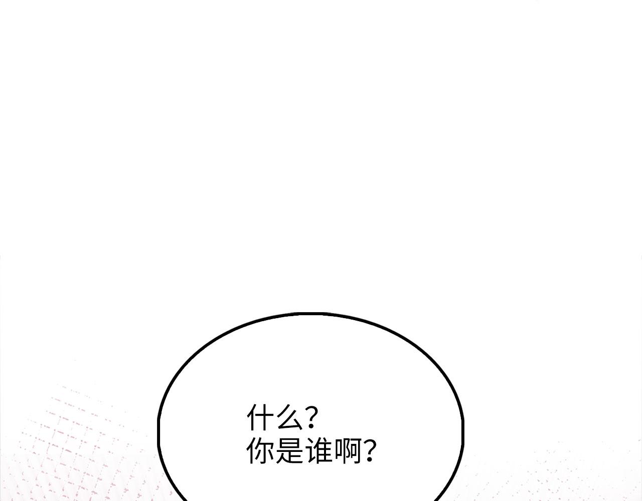 第 203 页