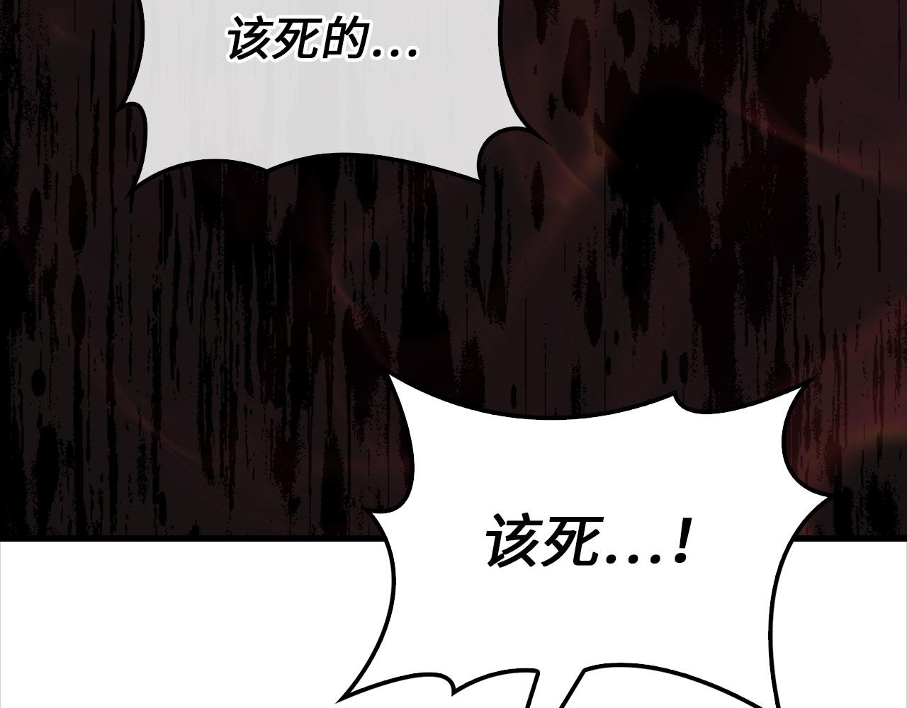 第 245 页