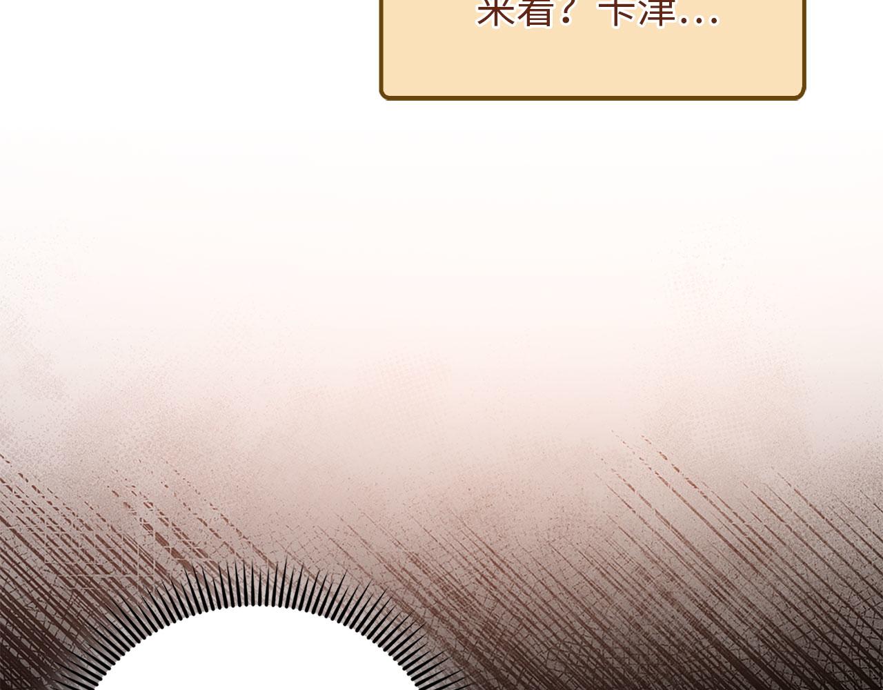 第 113 页