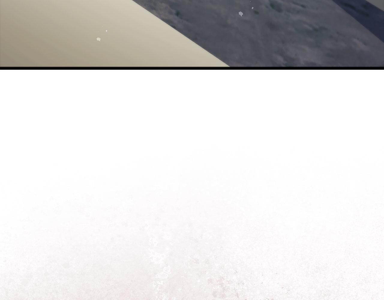 第 217 页