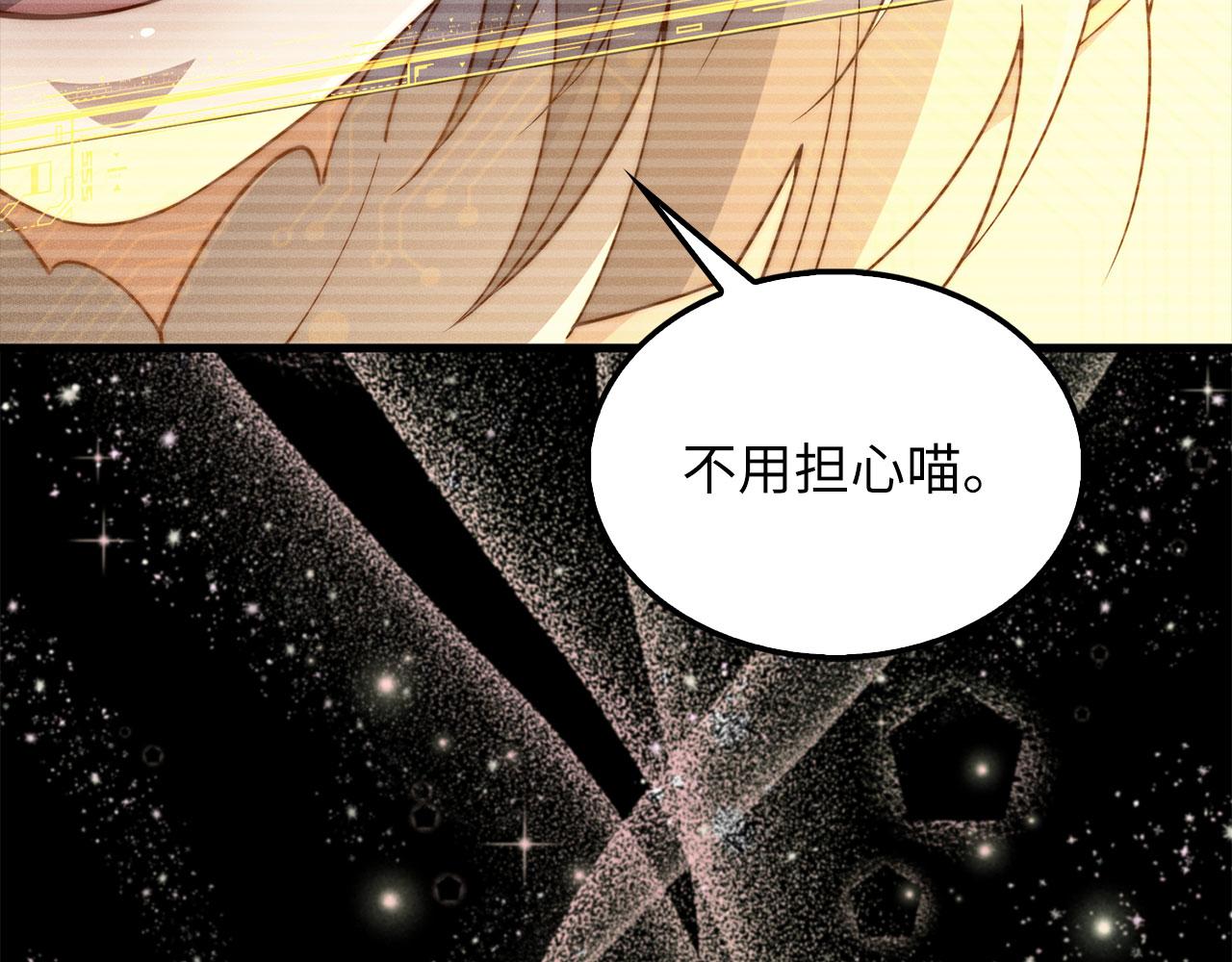 第 223 页