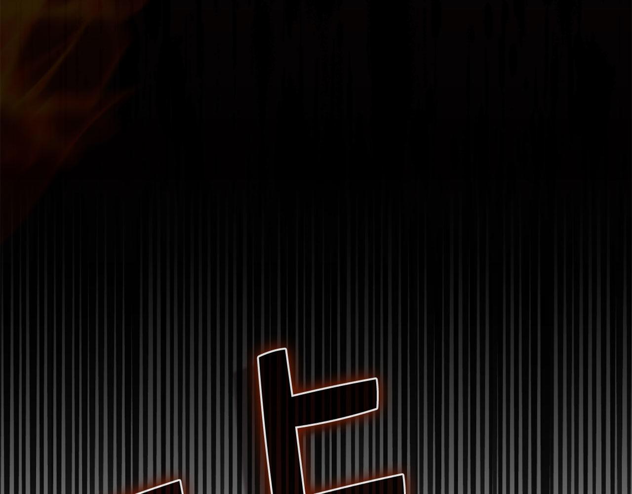 第 244 页
