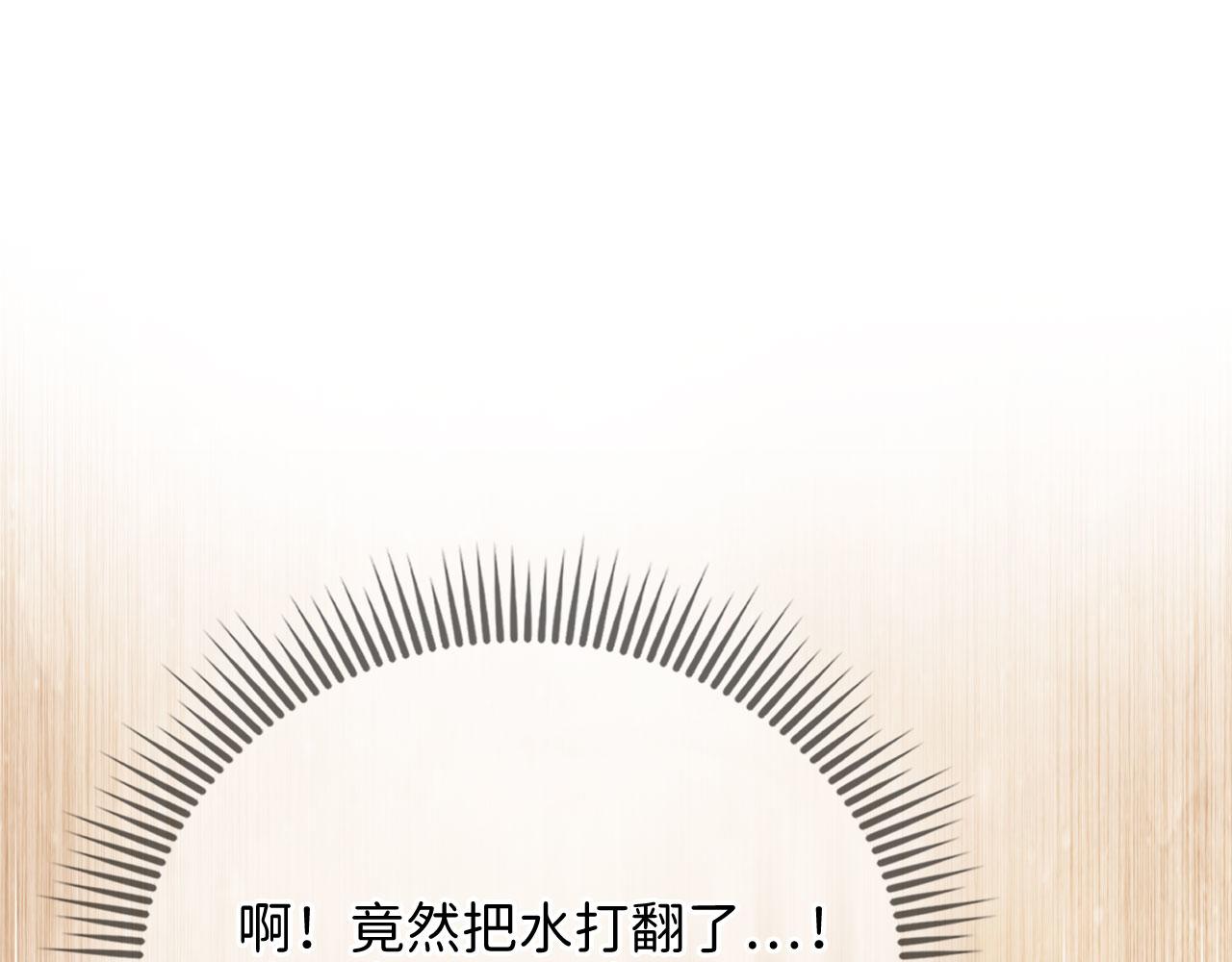 第 206 页