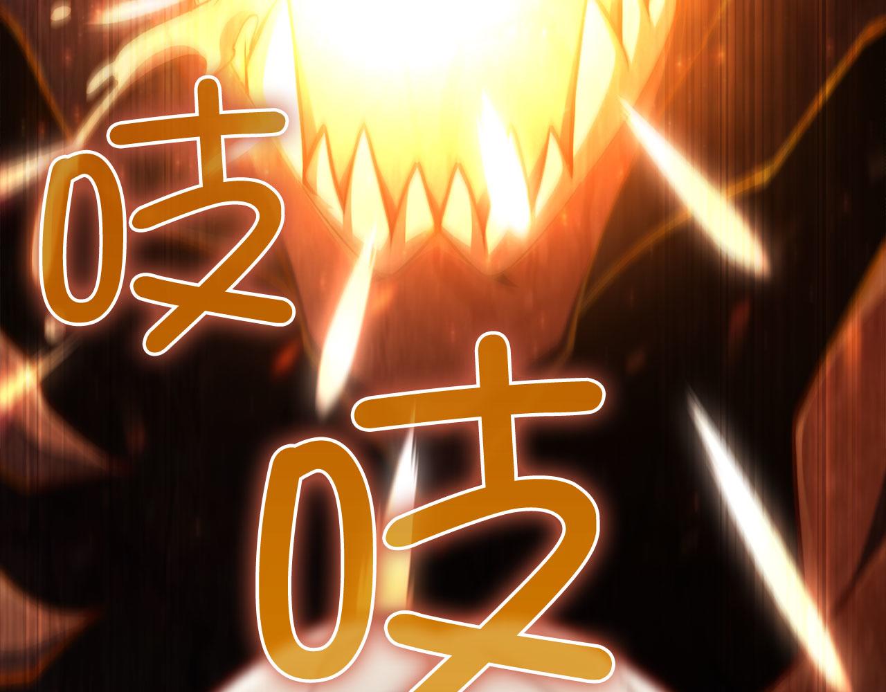 第 216 页