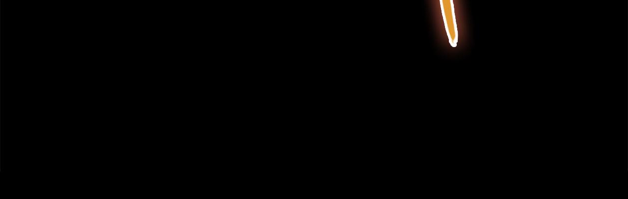 第 218 页