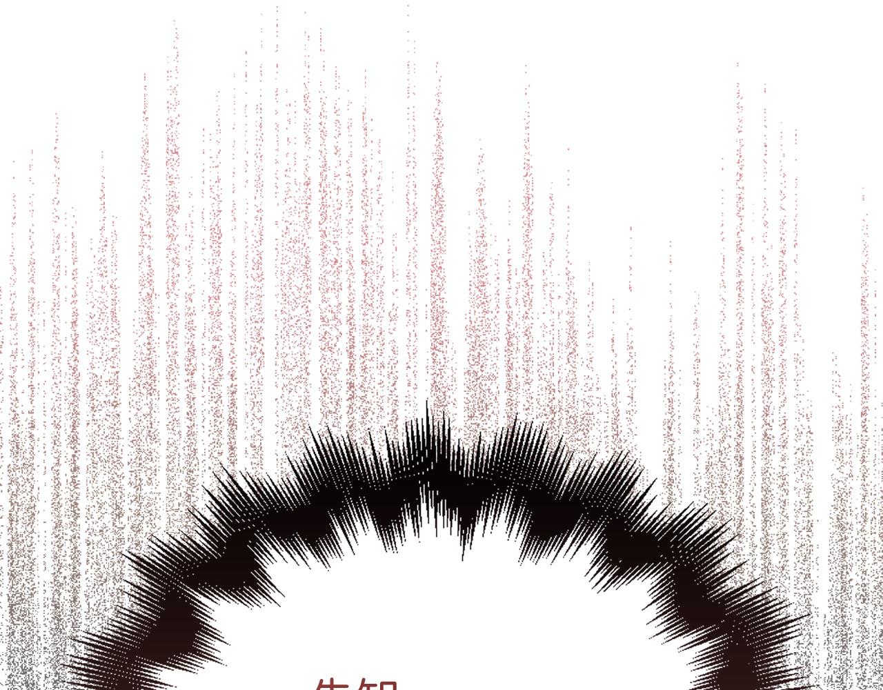 第 213 页