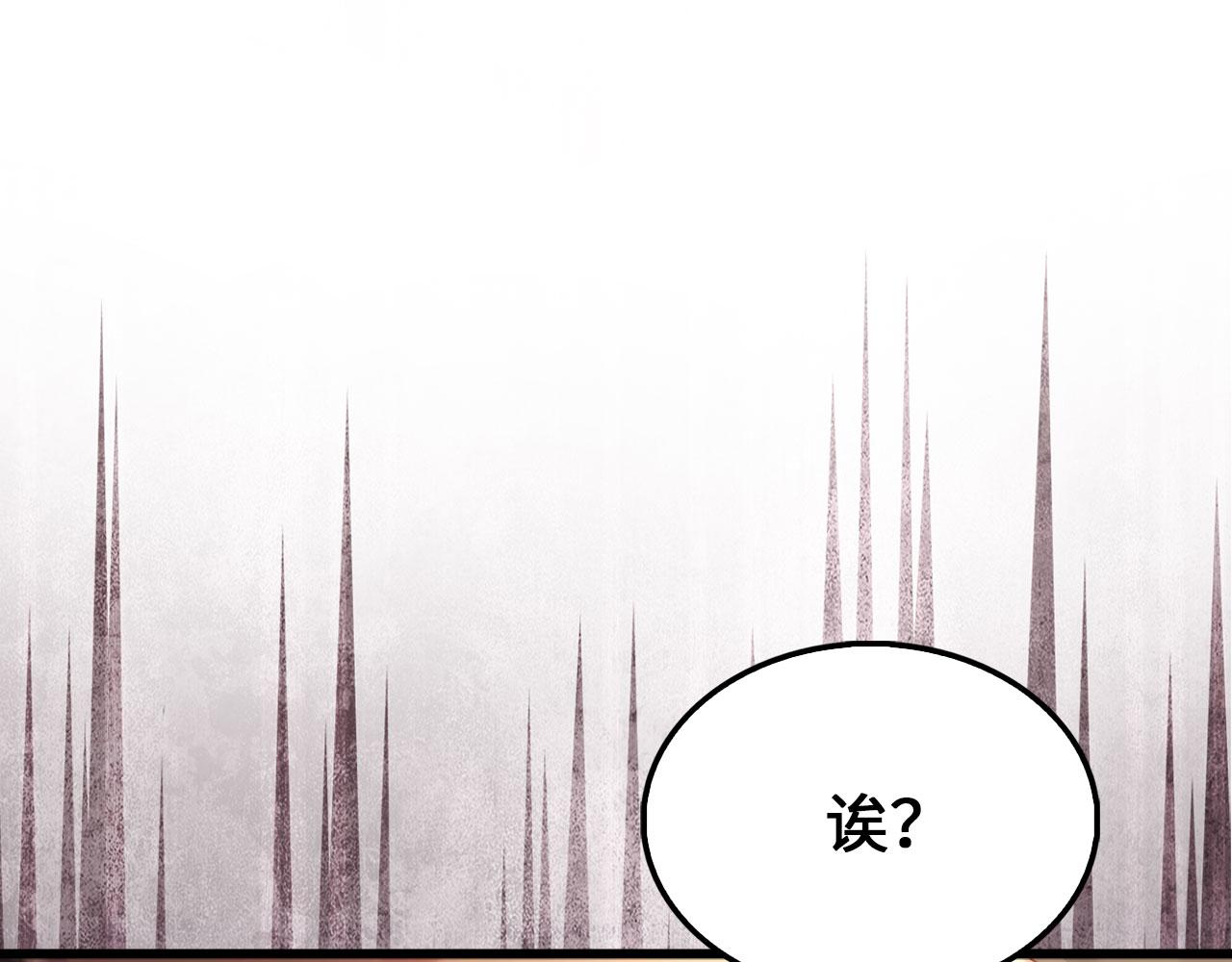 第 205 页