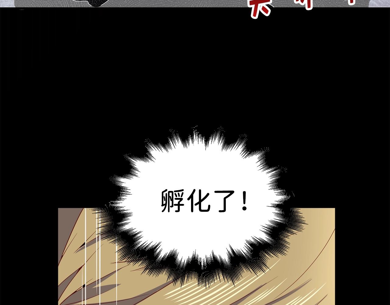 第 156 页