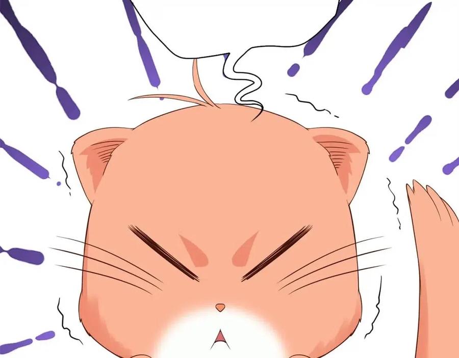 第 146 页