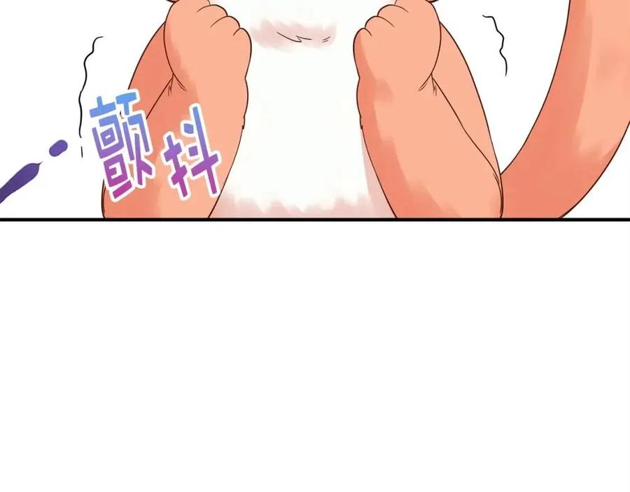 第 147 页