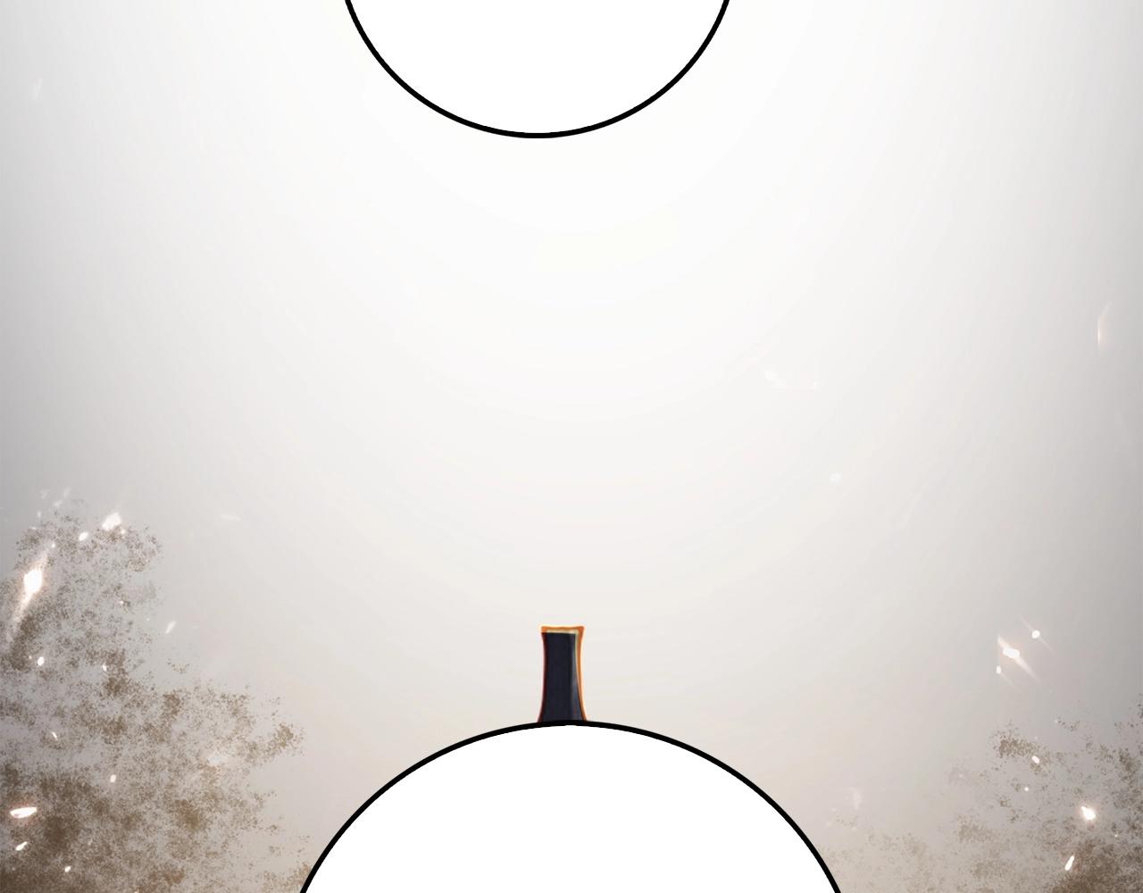 第 210 页