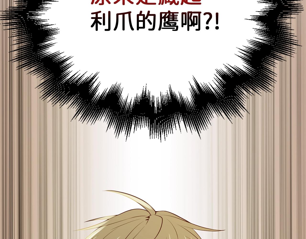 第 216 页