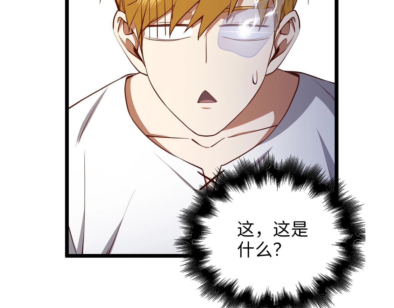 第 206 页