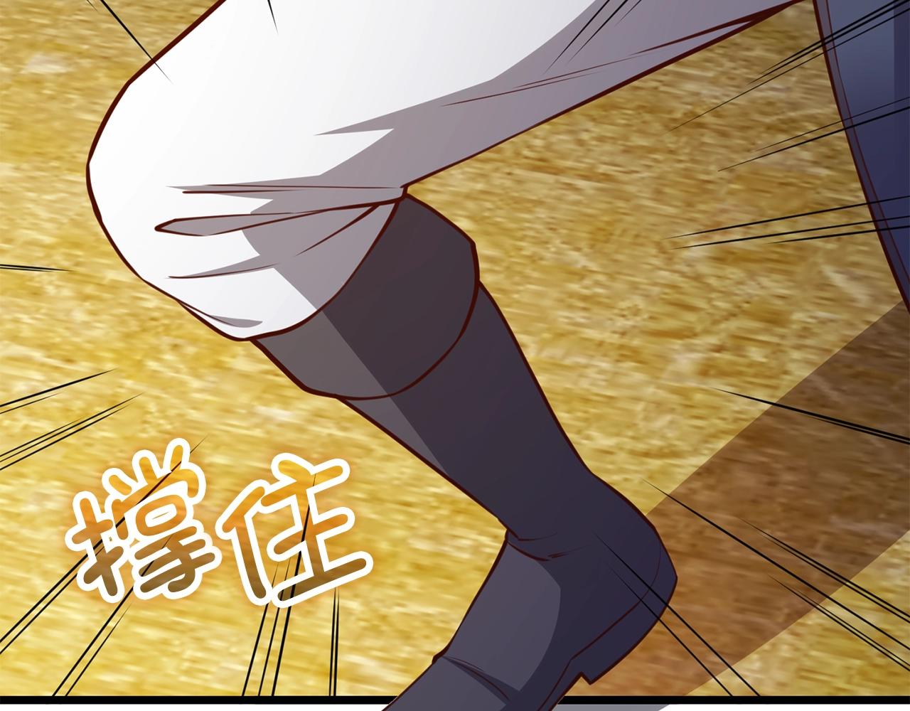 第 223 页