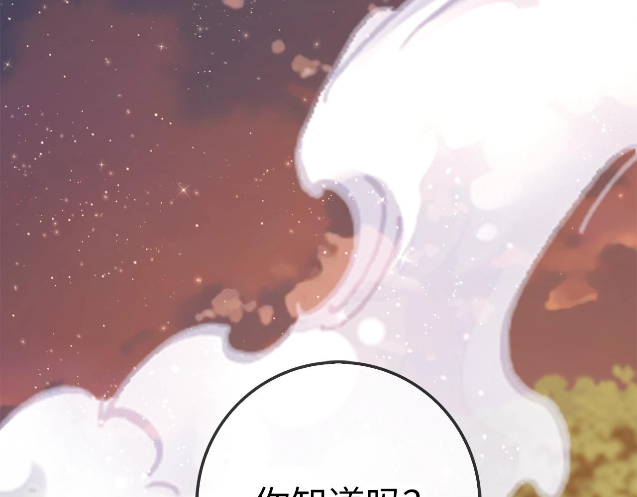 第 206 页