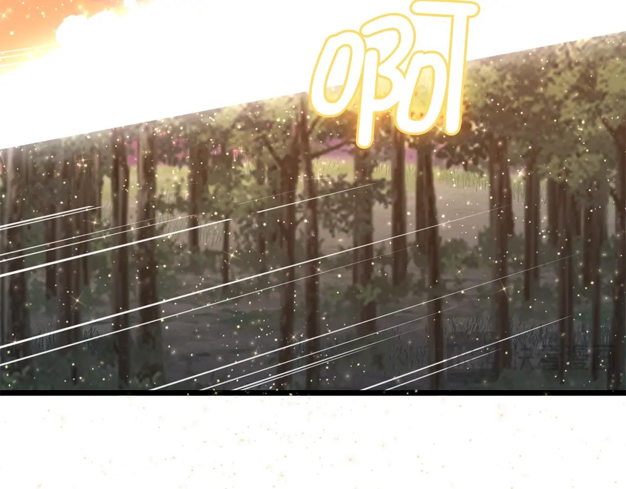 第 247 页