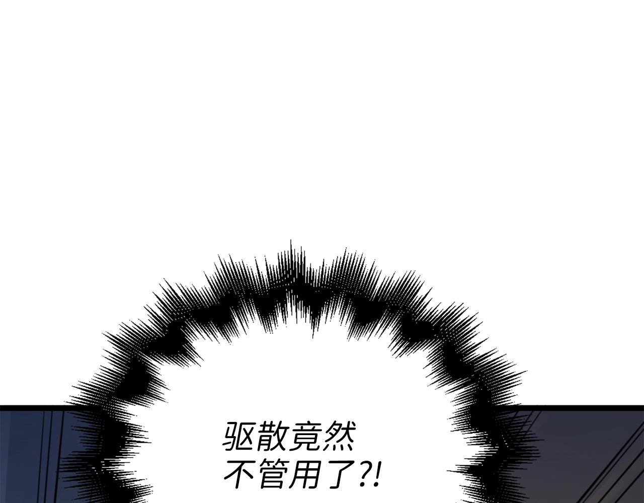 第 245 页