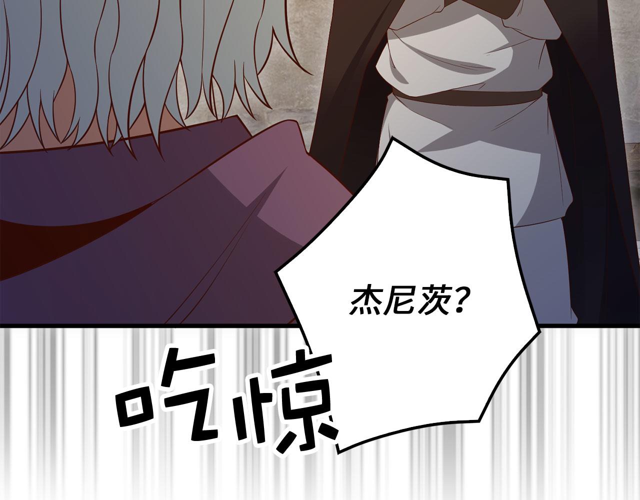 第 113 页