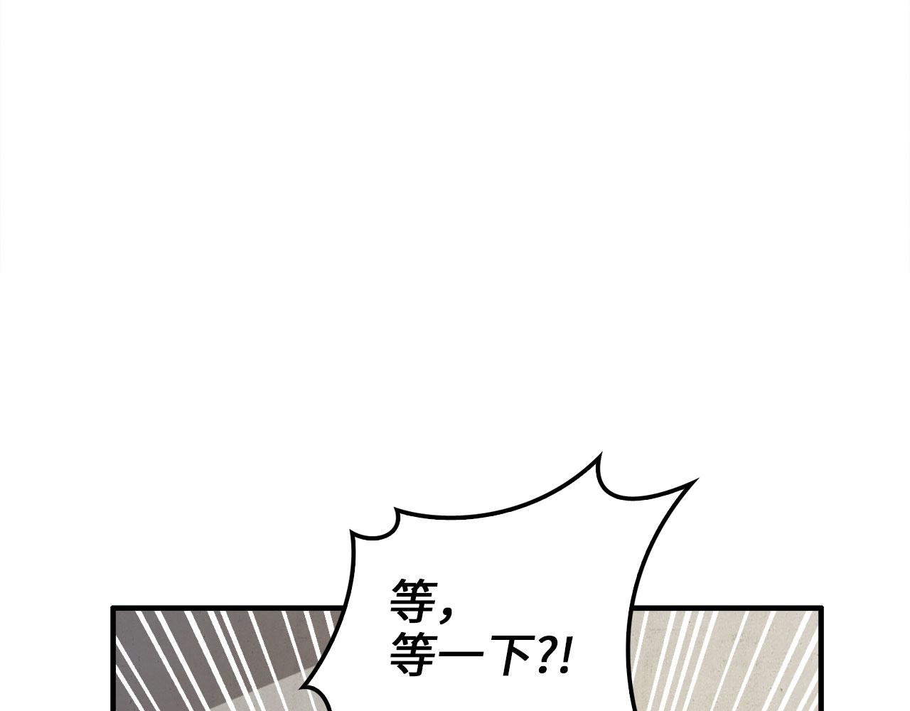 第 111 页