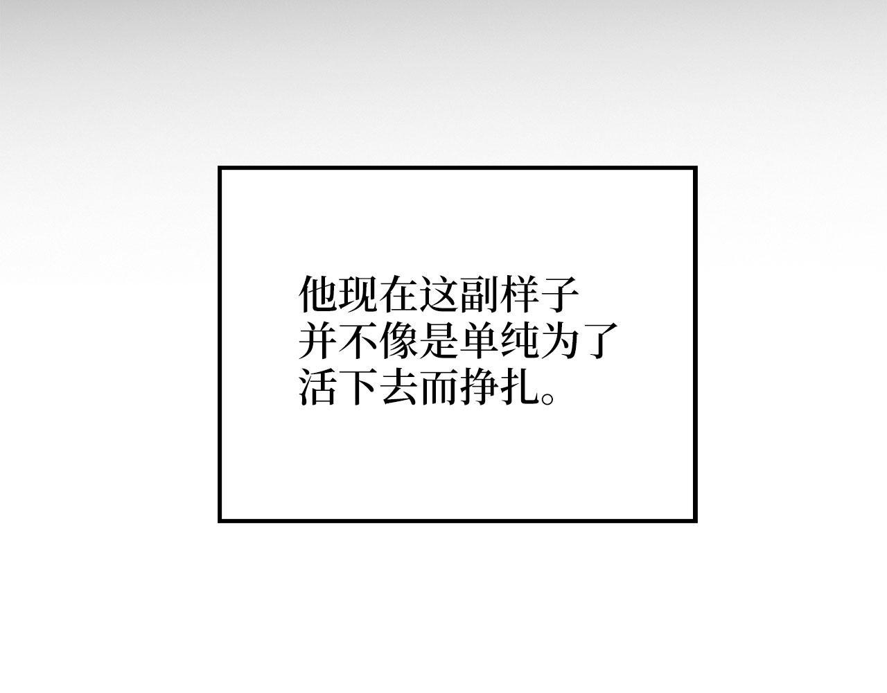 第 113 页